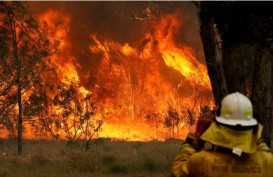 Fixed! Kebakaran Hutan di Australia akibat Perubahan Iklim