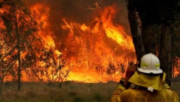 Fixed! Kebakaran Hutan di Australia akibat Perubahan Iklim