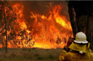 Fixed! Kebakaran Hutan di Australia akibat Perubahan Iklim