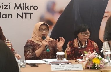 Ibu Hamil Penderita Anemia Berisiko Lahirkan Anak Stunting