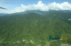 Teken MoU dengan Bappenas, Riau Jadi Provinsi Percontohan Rendah Karbon