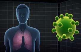 WHO Khawatirkan Dugaan Kasus Pneumonia dari China di Thailand