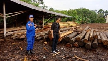 Polisi Sita 850 Batang Log dan Kayu Olahan Ilegal