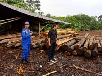 Polisi Sita 850 Batang Log dan Kayu Olahan Ilegal