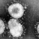 Lagi, Kasus Coronavirus dari China Terdeteksi di Thailand