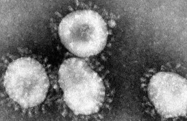 Amerika Perketat Pengawasan Cegah Coronavirus dari China