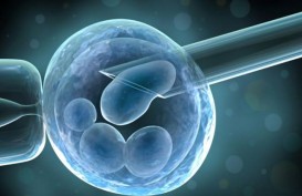 Produk Stem Cell Tak Bebas Diperjualbelikan