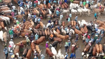 Bantul Menyemprotkan Disinfektan di Pasar Cegah Antraks