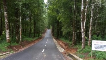 Pembangunan 29 KM Jalan Cikadu-Ciwidey Telah Tuntas