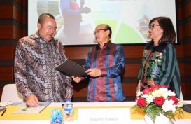 Delta Dunia Makmur (DOID) Capai Target Operasional 2019