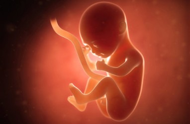 Hati-hati, Stres pada Ibu Hamil Pengaruhi Otak Janin