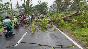 Angin Kencang Terjang Sejumlah Wilayah Kabupaten Magelang