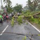 Angin Kencang Terjang Sejumlah Wilayah Kabupaten Magelang