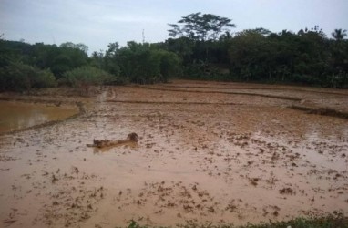 Pemkab Lebak Fokus Pembangunan Irigasi Pertanian Pascabanjir 