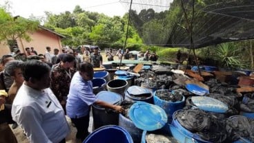 Wisatawan Mancanegara Kapok Datang ke Bintan, Ini Penyebabnya