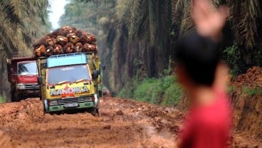 WEF Davos : Indonesia Paparkan Peran Industri Kelapa Sawit