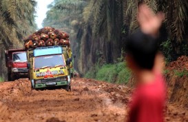 WEF Davos : Indonesia Paparkan Peran Industri Kelapa Sawit