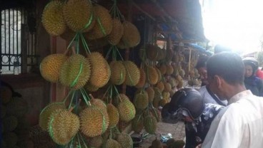 Durian Badui Mampu Dongkrak Perekonomian Masyarakat