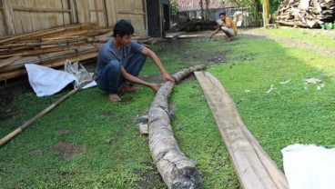 Penemu Fosil Gading Gajah 4 Meter Berharap Kompensasi Layak