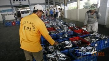 Indonesia Akan Hentikan Impor Ikan Jika Terpapar Virus Corona