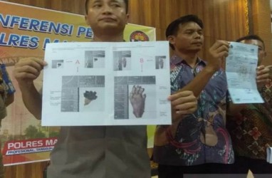  Viral Bakso Daging Tikus, Begini Hasil Laboratorium Veteriner   