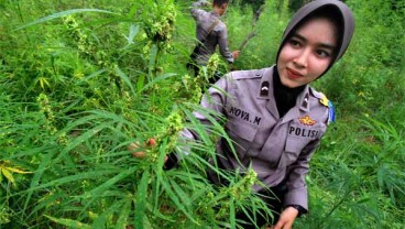 Sempat Usul Legalisasi Ganja, Anggota DPR Rafli Minta Maaf