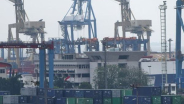 Revisi Aturan Peti Kemas, Kelaikan Jadi Tanggung Jawab Pemilik