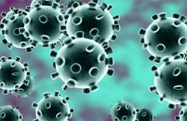Cek Fakta: Wudhu Bisa Hancurkan Virus Corona
