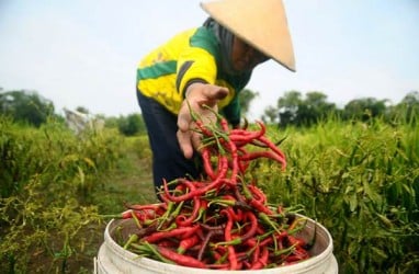 Distribusi Terganggu, Inflasi Jateng Mengalami Kenaikan