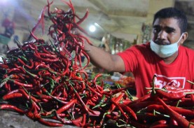 Pengamat: Cabai Tiap Tahun Sumbang Inflasi Jateng