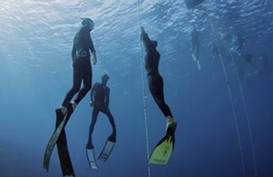 Ini 10 Spot Diving Terbaik di Dunia
