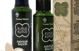 Ekspansi ke Eropa, Produsen Kutus Kutus Beli Kastil di Belanda