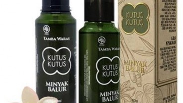 Ekspansi ke Eropa, Produsen Kutus Kutus Beli Kastil di Belanda