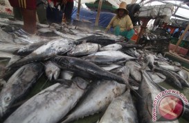 Pasar Ikan Modern Palembang Beroperasi Maret 2020