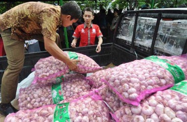 Cegah Spekulan, Pemerintah Diminta Amankan Stok Bawang Putih