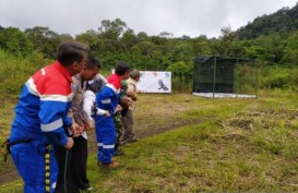 PKEK Lepasliarkan Dua Elang Ular di Hutan Talaga Bodas Garut 