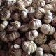 Harga Bawang Putih di Jatim Meroket Jadi Rp58.750 per Kg, Tunggu Instruksi Impor