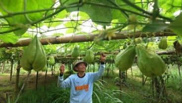 Jateng Dorong Optimalisasi Penyerapan Dana Desa