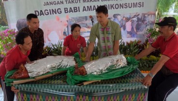 Redam Kekhawatiran Soal Demam Babi Afrika, Ini Langkah Bali