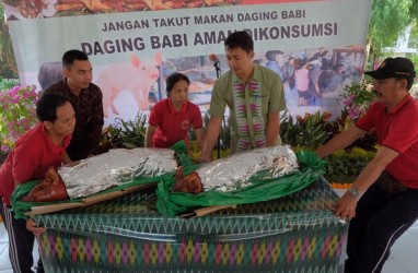 Redam Kekhawatiran Soal Demam Babi Afrika, Ini Langkah Bali