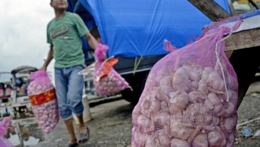 Gubernur Nurdin Klaim Bawang Putih Ada, Bulog Sebut Stok Kosong