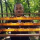 Warga Sekitar TN Bukit Tiga Puluh Biberi Pelatihan Budidaya Lebah