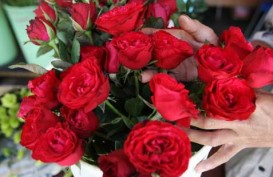 6 Pilihan Kado Valentine yang Murah Namun tetap Romantis dan Spesial