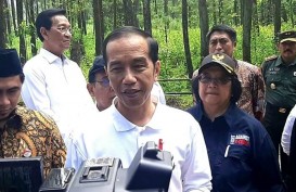 Presiden Jokowi Lepasliarkan Sepasang Elang Jawa Abu dan Rossy