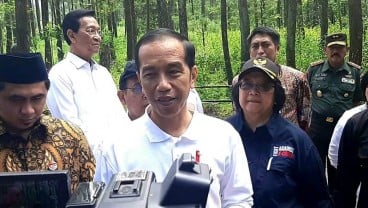 Presiden Jokowi Lepasliarkan Sepasang Elang Jawa Abu dan Rossy