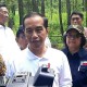 Presiden Jokowi Lepasliarkan Sepasang Elang Jawa Abu dan Rossy