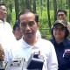 Cegah Sedimen Masuk Waduk, Jokowi Minta Reboisasi Hulu