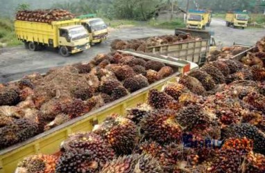 DISKRIMINASI BIOFUEL SAWIT : RI ‘Hadapi’ UE di WTO Pekan Ini