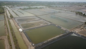 Sampah Ancam Petambak Pantura Jateng