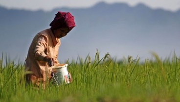 Petani di Madiun Khawatirkan Pemangkasan Kuota Pupuk Bersubsidi